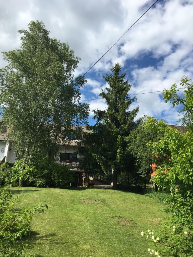 Sara Apartman Paradfuerdo エクステリア 写真